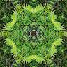 thirdeyehi