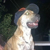 User profile image