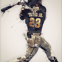 Thebaseball