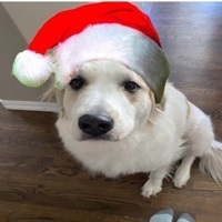 User profile image