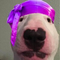 User profile image