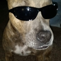 Frank