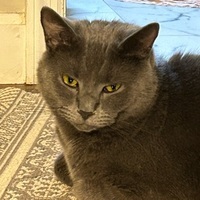 User profile image