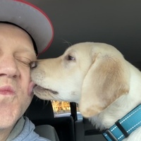 User profile image