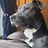Sully Son (Sullysonda1)