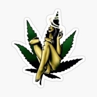 Stoney Collections