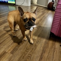 Jack