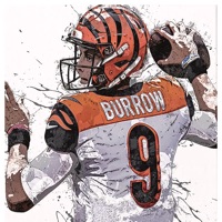 Bengals_fan