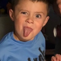 Tiergan