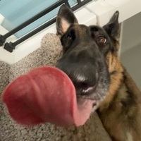 User profile image