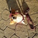 User profile image