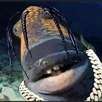 User profile image