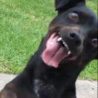 User profile image