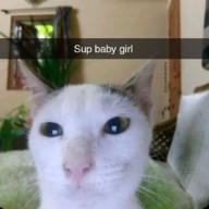 Asah Story