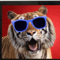 User profile image