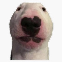 Stugotz