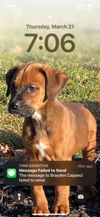 Matteo
