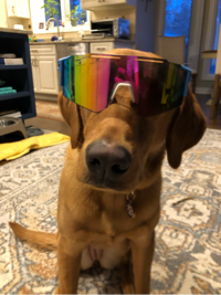 Charlie Spisak