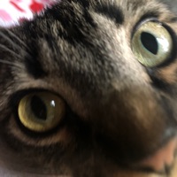 Dan S