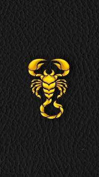 User profile