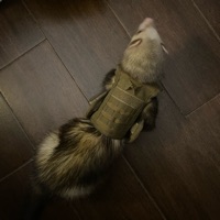 Yuki