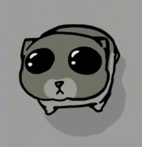User profile image
