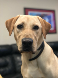 Owen