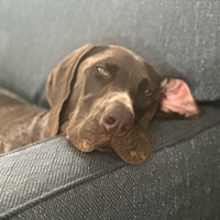 jack