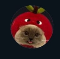 User profile image