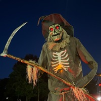 User profile image