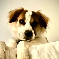 User profile