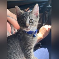 User profile image