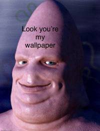 Liam Scherer
