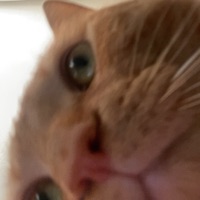 Cyrus