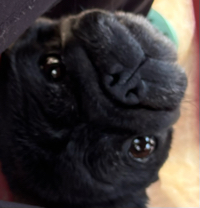 User profile image