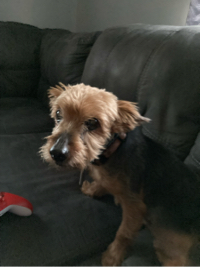 Abram Stout
