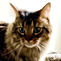 User profile