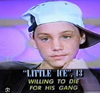 Little ICE