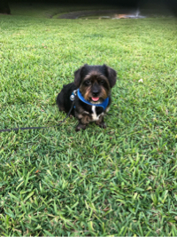 Douglas
