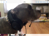 User profile image