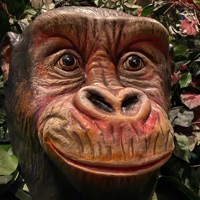 User profile image