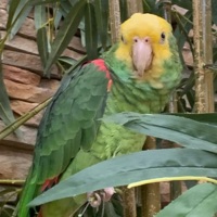 User profile image