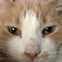 User profile