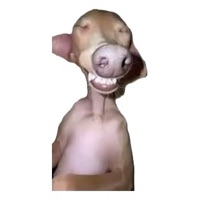 L R