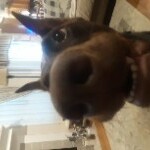 User profile image