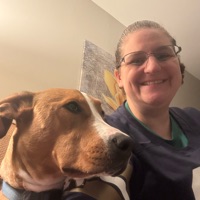 User profile image