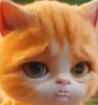 Dom