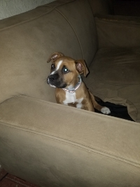 Isaac