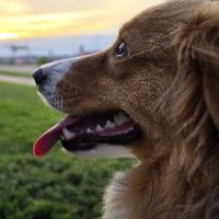 User profile image