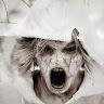 Kilrklown 06